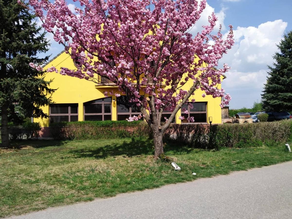 Leo - Penzion Jevišovice Esterno foto
